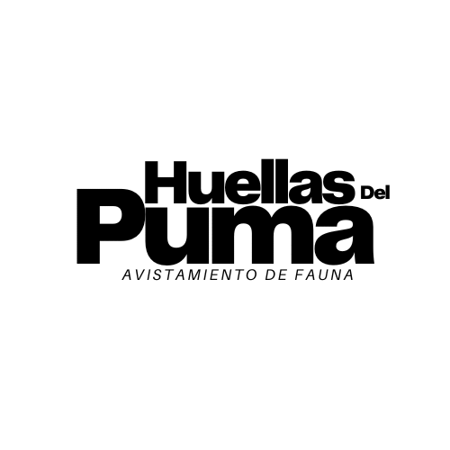 Huellas del Puma